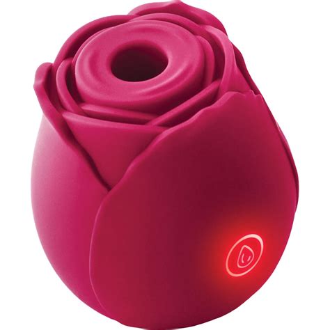 Rose Toy in Vibrators (1000+)